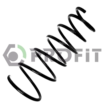 Profit 20101909