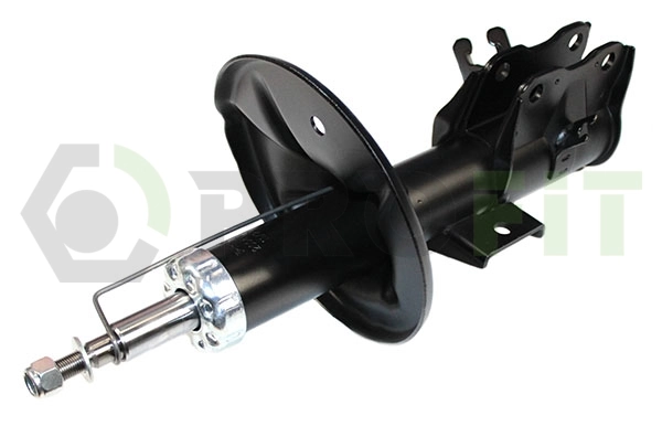 RAISO RS230295