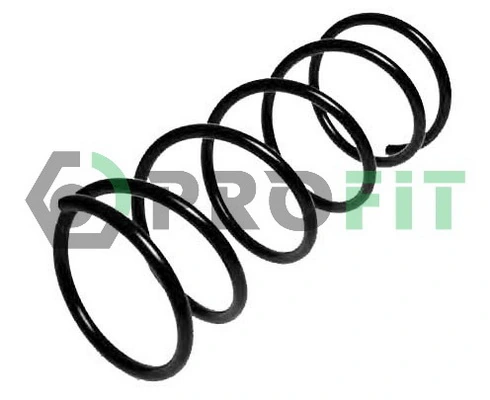 Profit 20100280