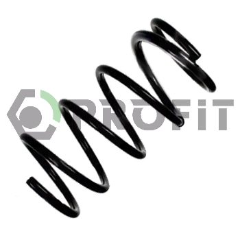 Profit 20101907