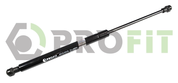 Profit 20150310