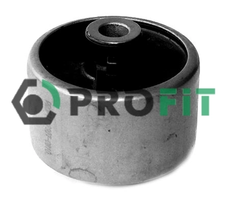 Profit 23070810