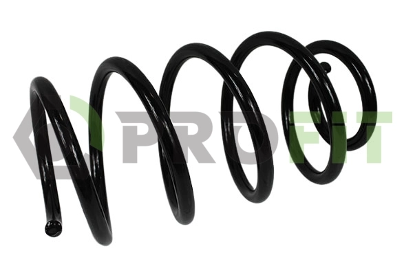 Profit 20101905