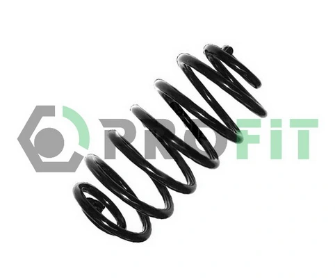 Profit 20100365