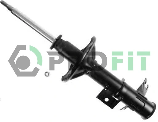RAISO RS230134