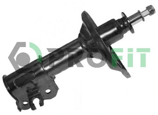 RAISO RS200173