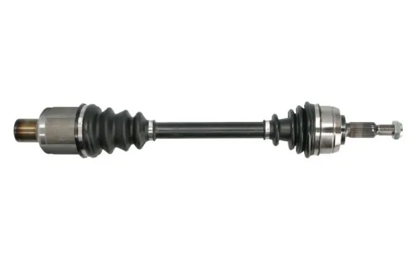 PASCAL G2E013PC