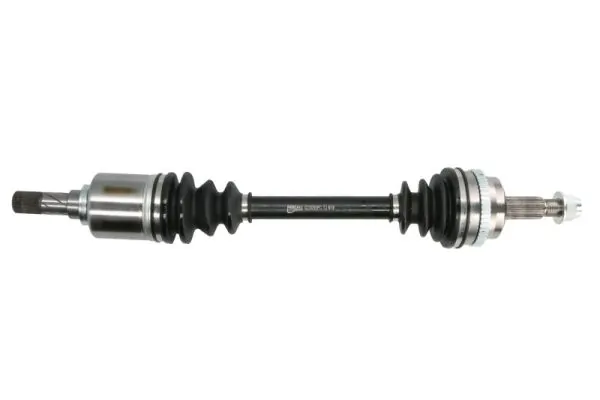 PASCAL G2X055PC