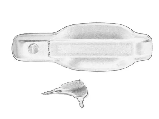 PACOL IVEDH0018