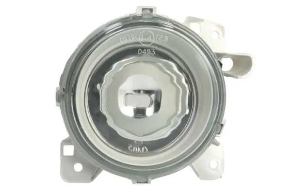 TRUCKLIGHT FLSC001R
