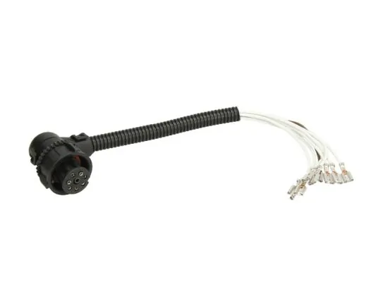 TRUCKLIGHT CAMA001