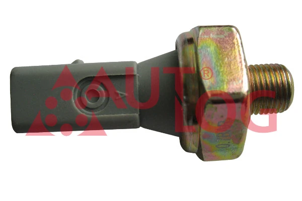 Volkswagen 038919081H