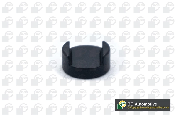 BGA TP3999