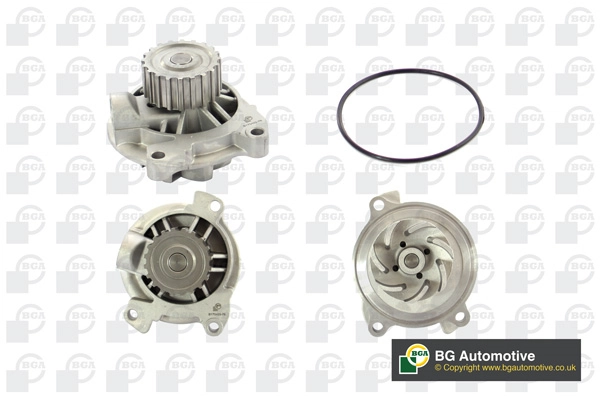 BGA CP18548