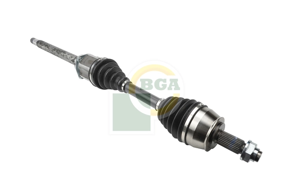 BGA DS2206RA