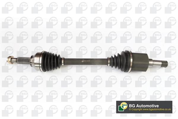 BGA DS2318L