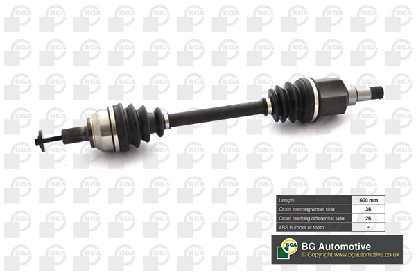 BGA DS2321L