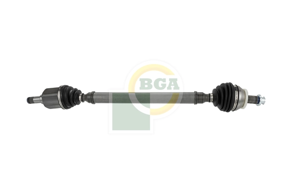 BGA DS9653