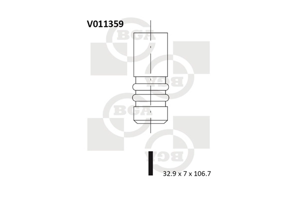 BGA V011359