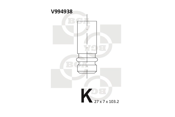 BGA V994938