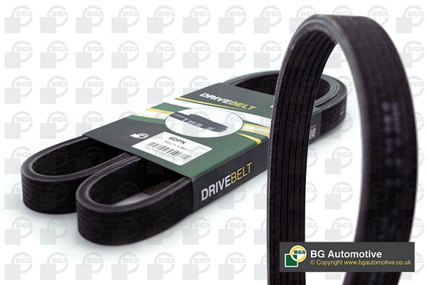 DAYCO 6DPK1195