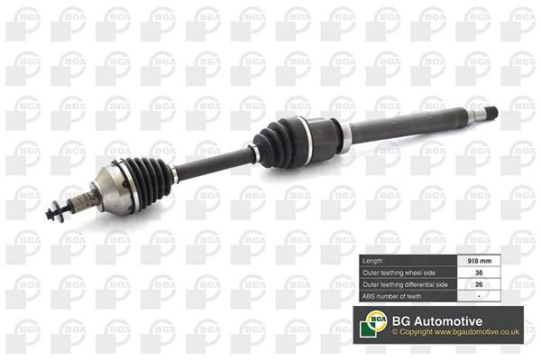 BGA DS2332R