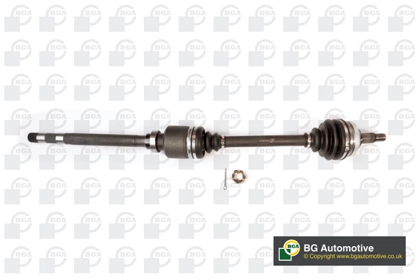 BGA DS1418R