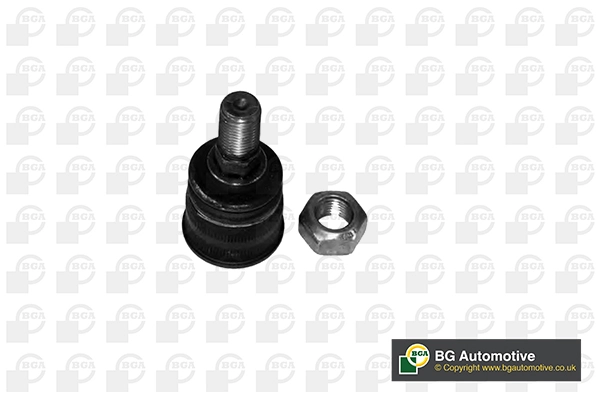 RAISO RL220368M