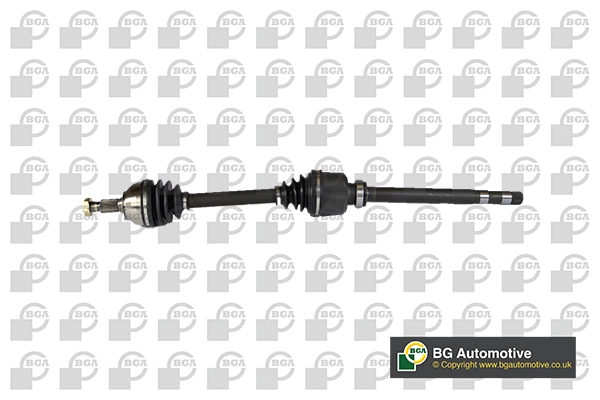 BGA DS1401R
