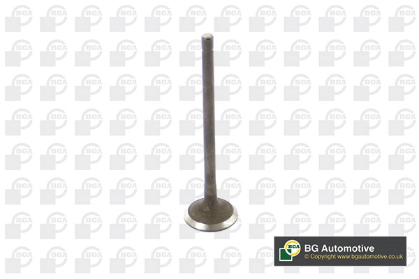 BGA V541212