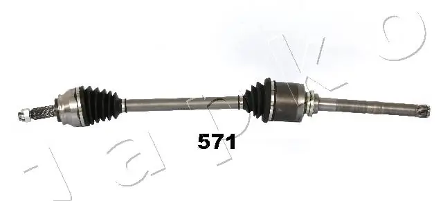 JAPKO 62571