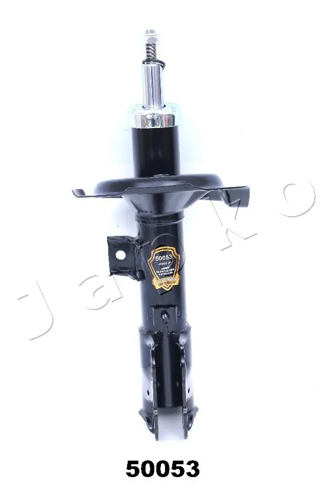 RAISO RS315193
