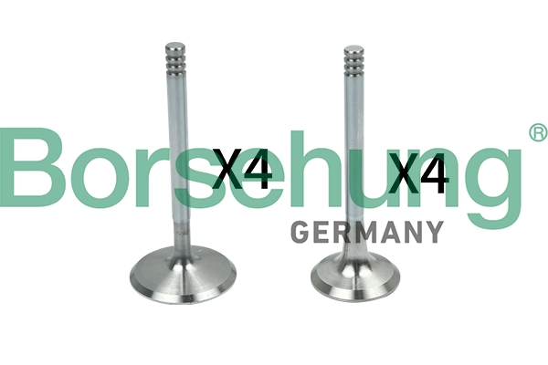 BORSEHUNG B18148