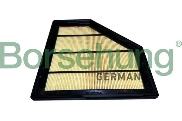 BORSEHUNG B12453