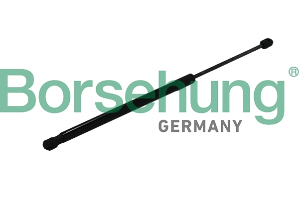 BORSEHUNG B19169