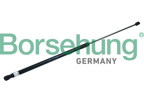 BORSEHUNG B18428