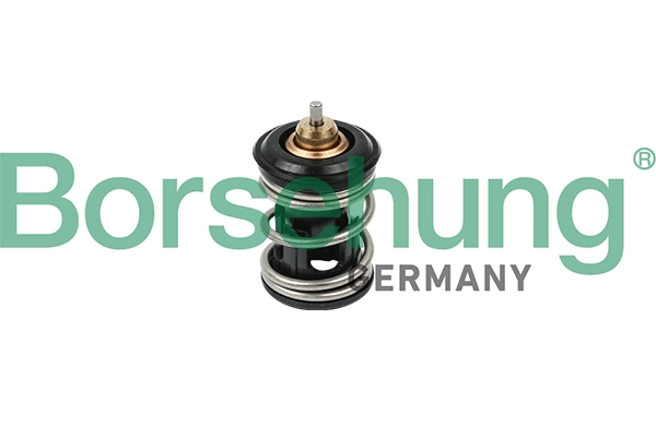BORSEHUNG B18261
