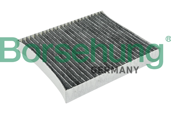 BORSEHUNG B12797