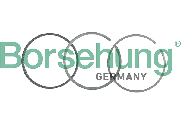 BORSEHUNG B19051