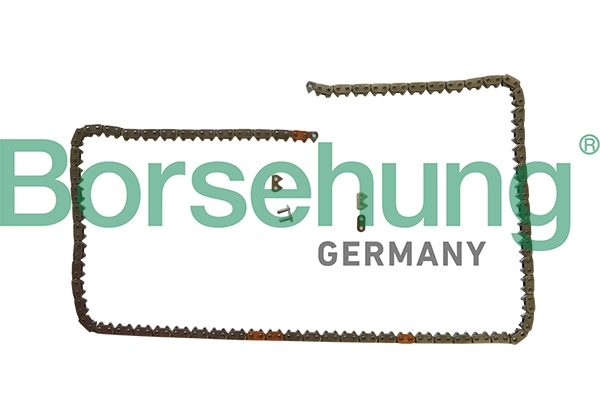 BORSEHUNG B1C031