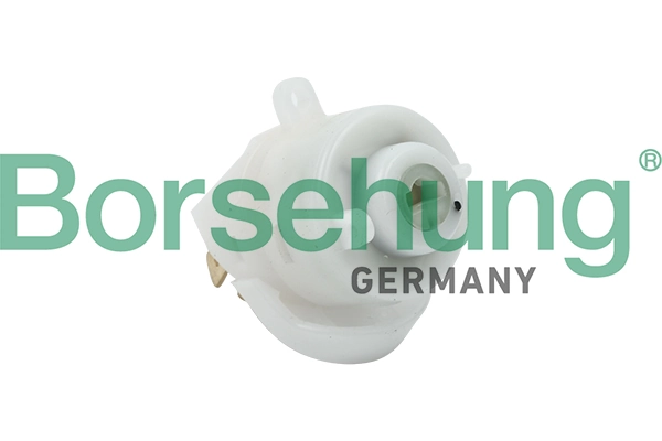 BORSEHUNG B17987