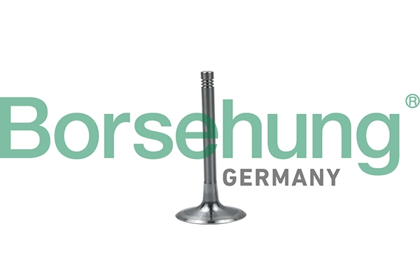 BORSEHUNG B19028