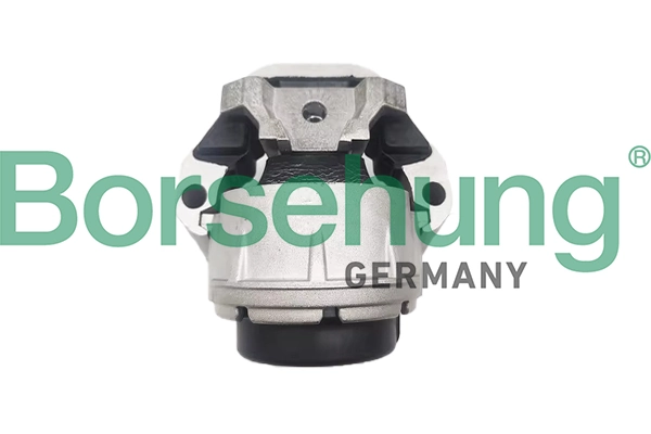 BORSEHUNG B12685