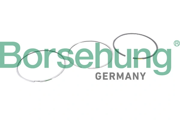 BORSEHUNG B10364