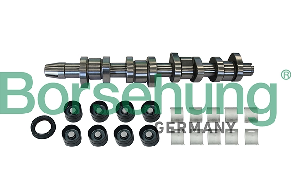 BORSEHUNG B11307