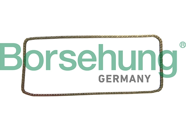 BORSEHUNG B1C029