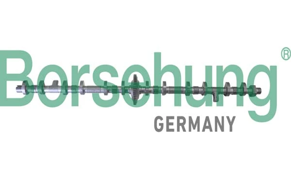 BORSEHUNG B11325