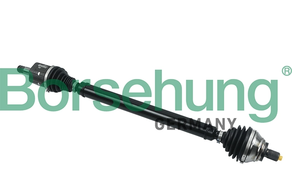 BORSEHUNG B18328