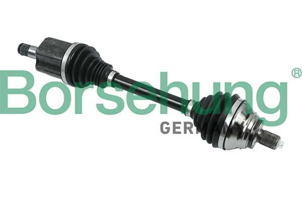 BORSEHUNG B18345