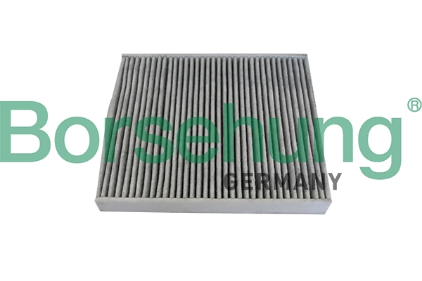 BORSEHUNG B10534